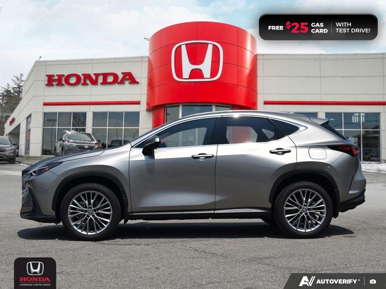 2023 Lexus NX 350  Photo