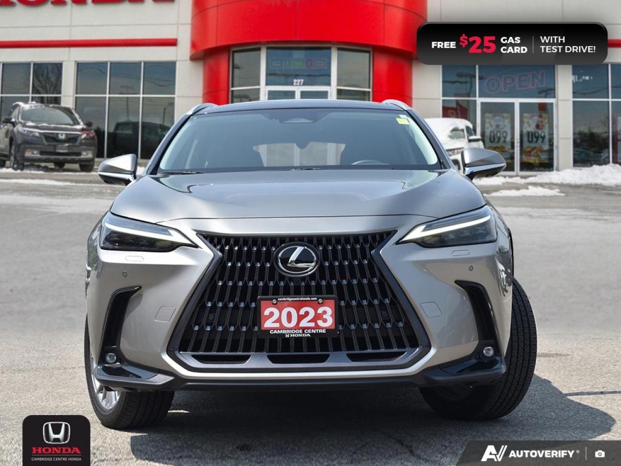 2023 Lexus NX 350  Photo