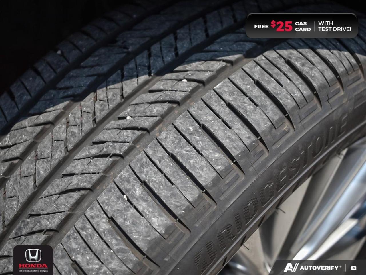 2023 Lexus NX 350  Photo