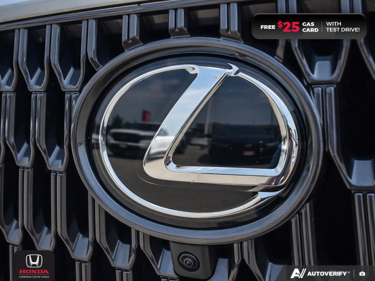 2023 Lexus NX 350  Photo