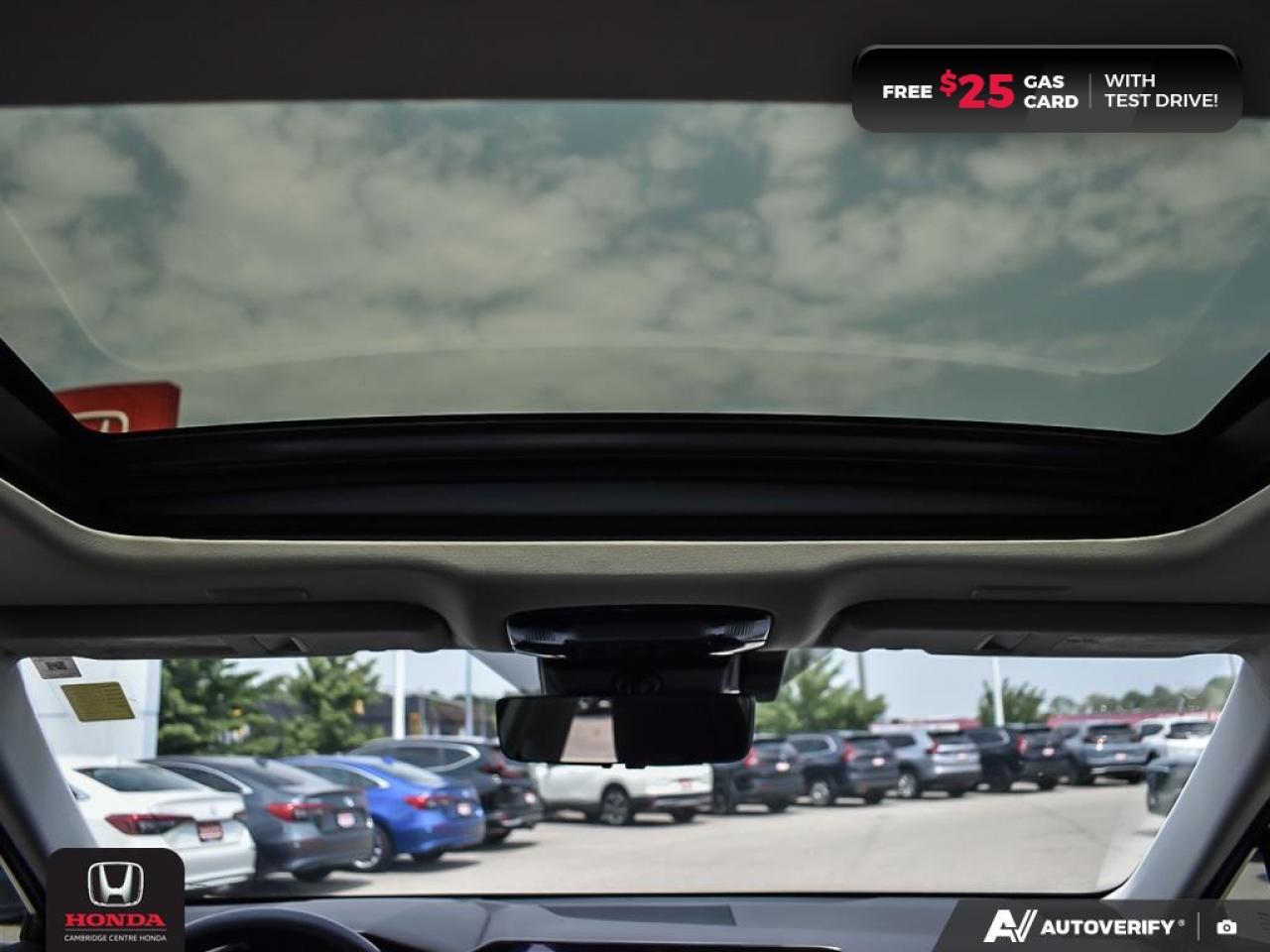 2023 Lexus NX 350  Photo