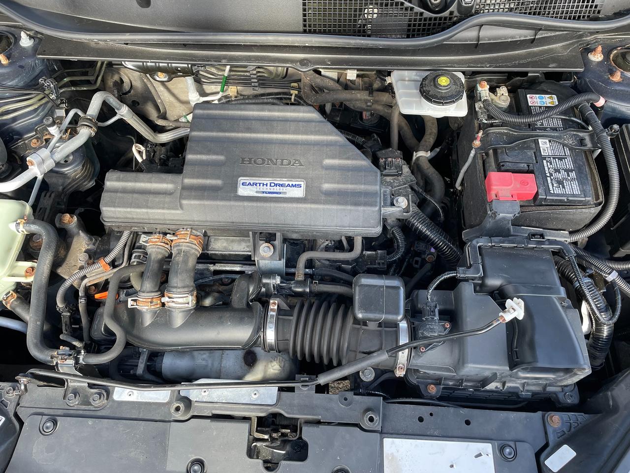 2019 Honda CR-V EX-L AWD Photo