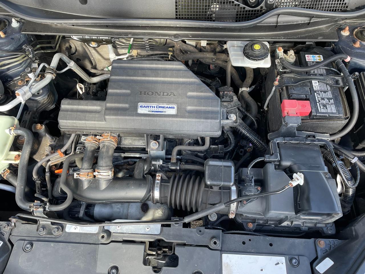 2019 Honda CR-V EX-L AWD Photo