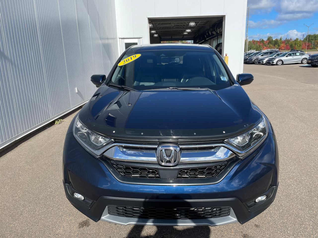 2019 Honda CR-V EX-L AWD Photo