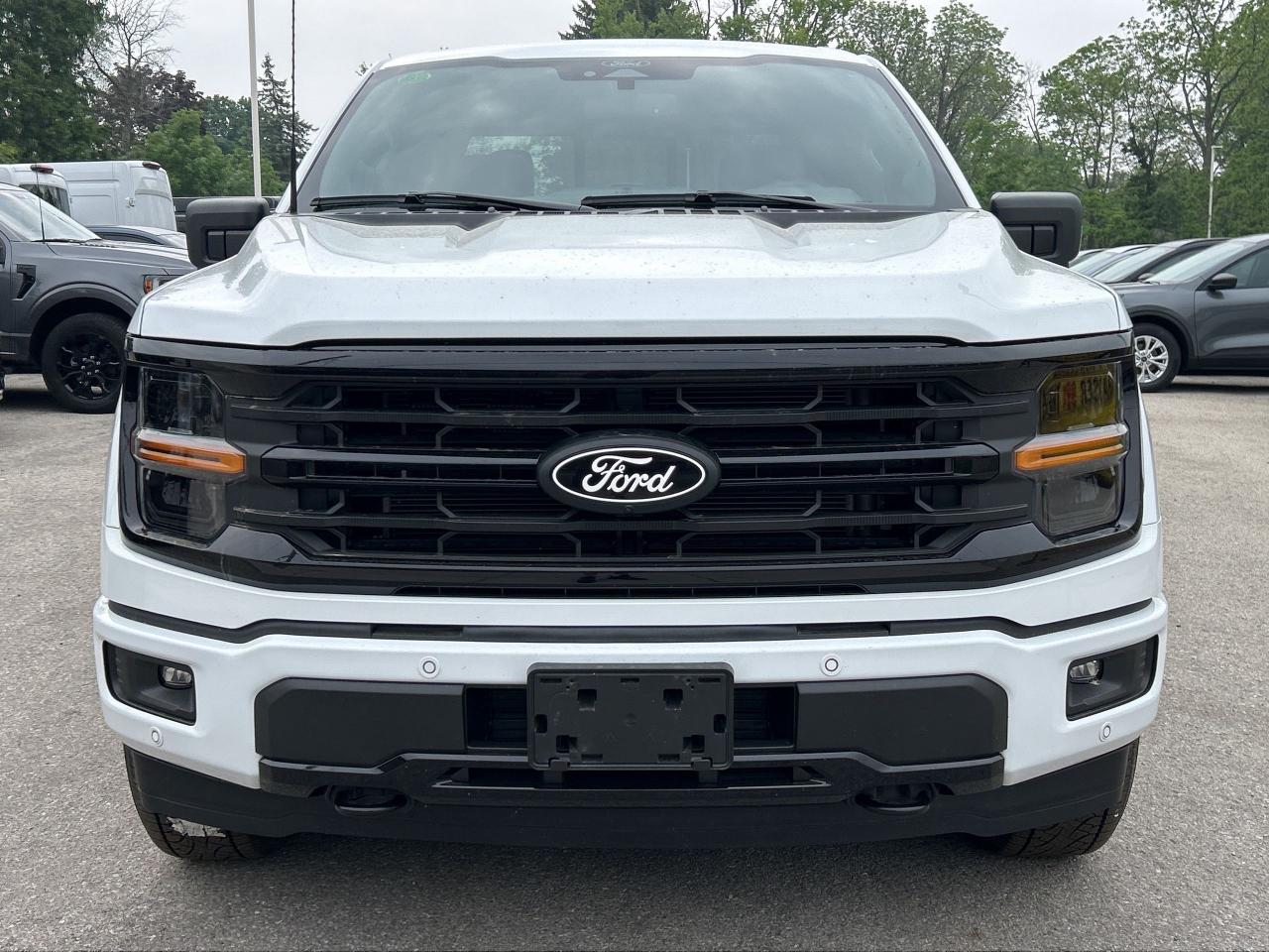 12600646