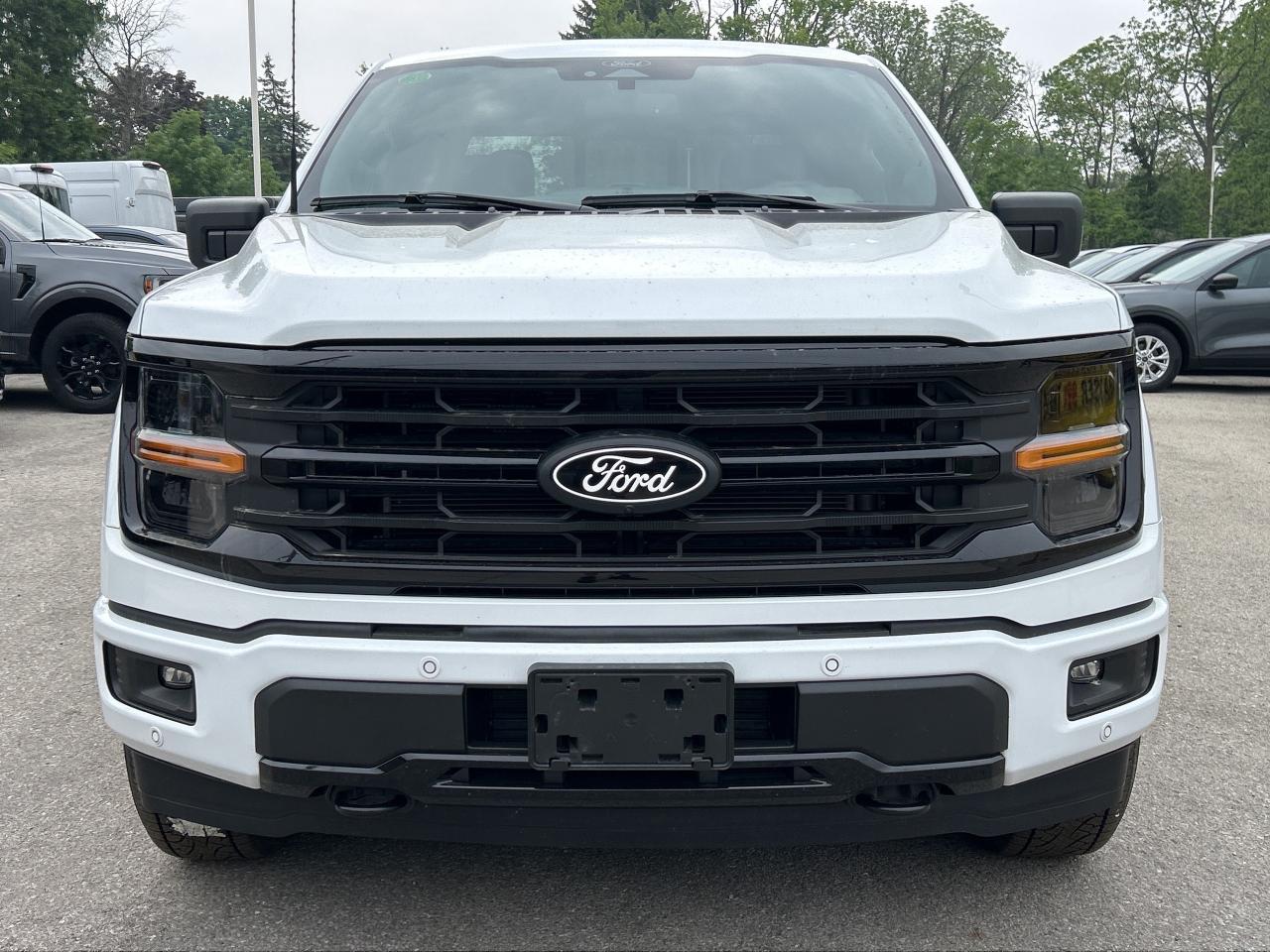 12600646