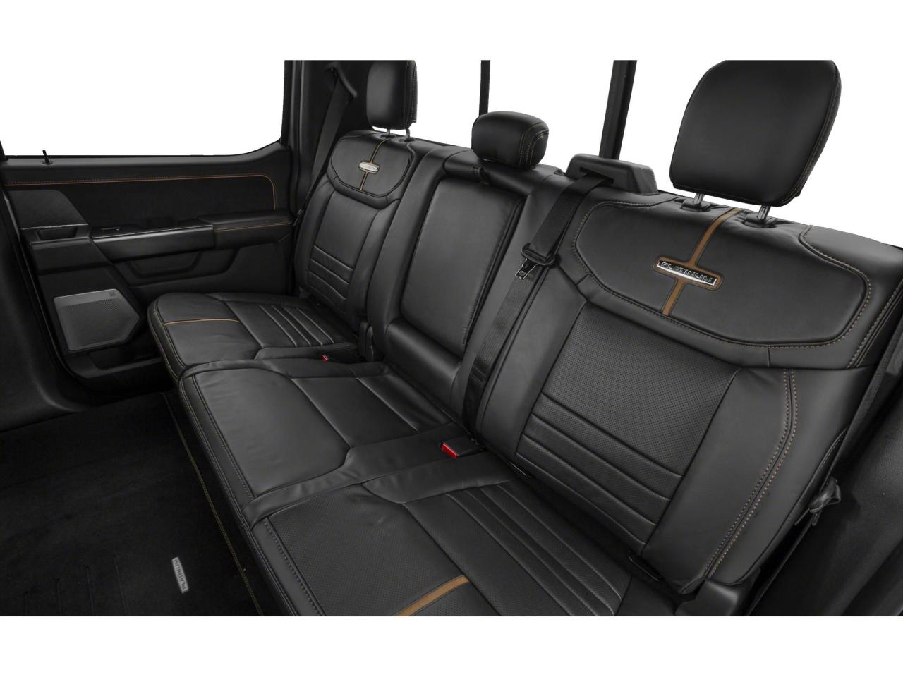 2022 Ford F-150 PLATINUM Photo5