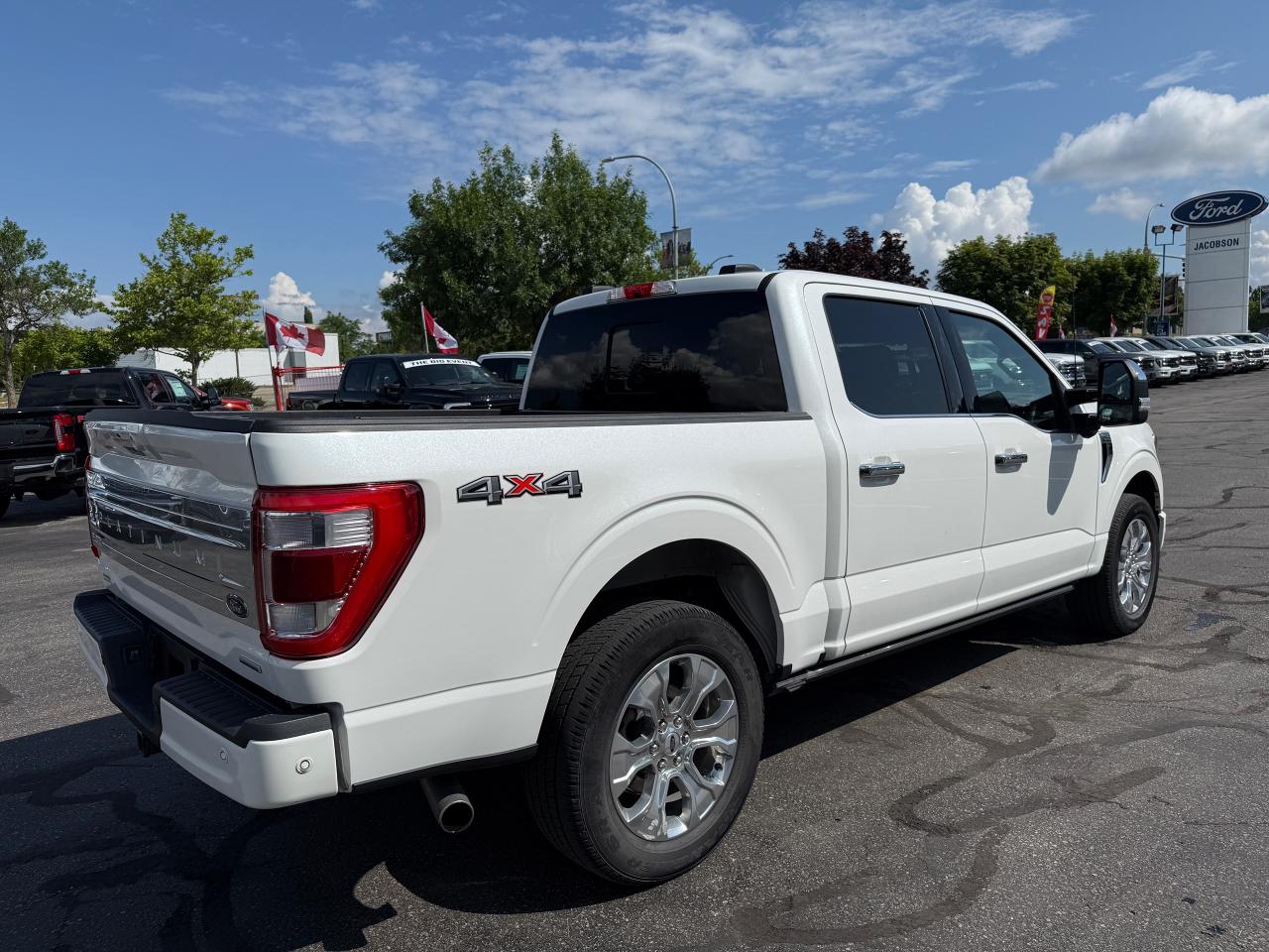 2022 Ford F-150 PLATINUM Photo4