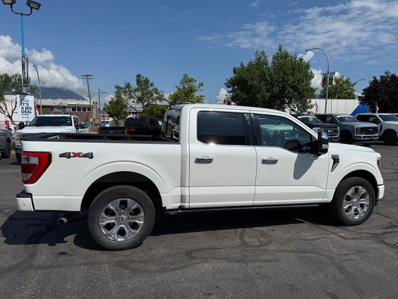 2022 Ford F-150 PLATINUM Photo5