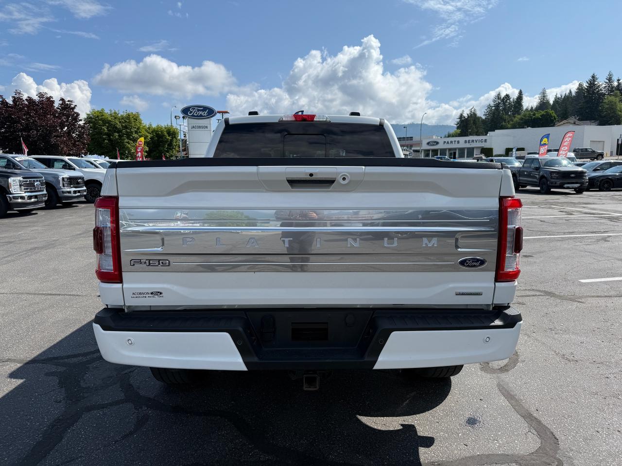2022 Ford F-150 PLATINUM Photo5
