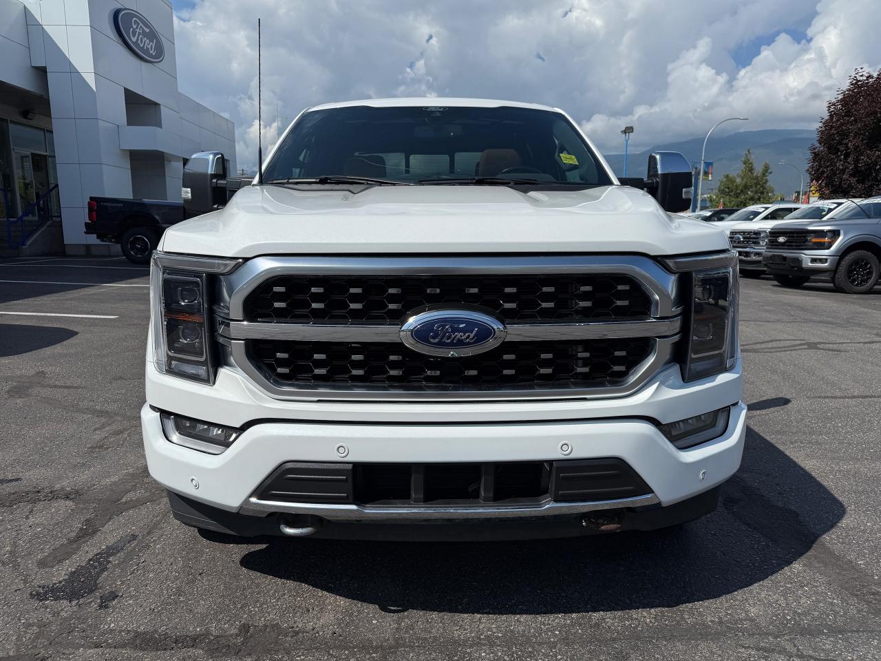 2022 Ford F-150 PLATINUM Photo5