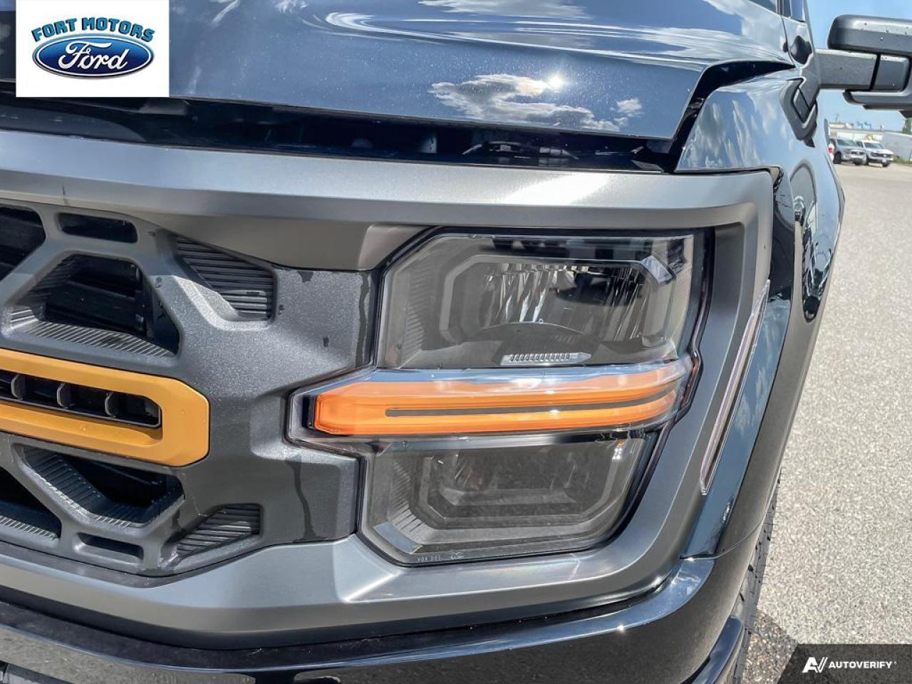 2025 Ford F-150 Tremor® Photo5