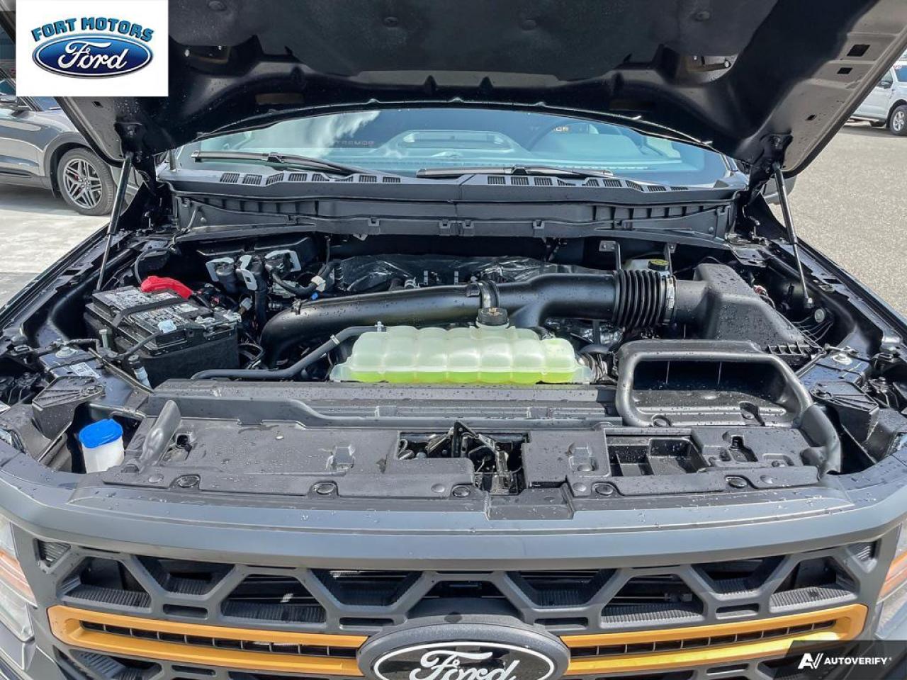 2025 Ford F-150 Tremor® Photo5
