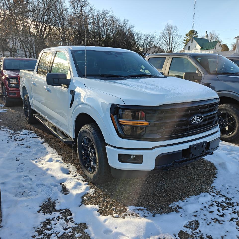 2025 Ford F-150 4X4 SUPERCREW XLT 2.7L 301A Photo