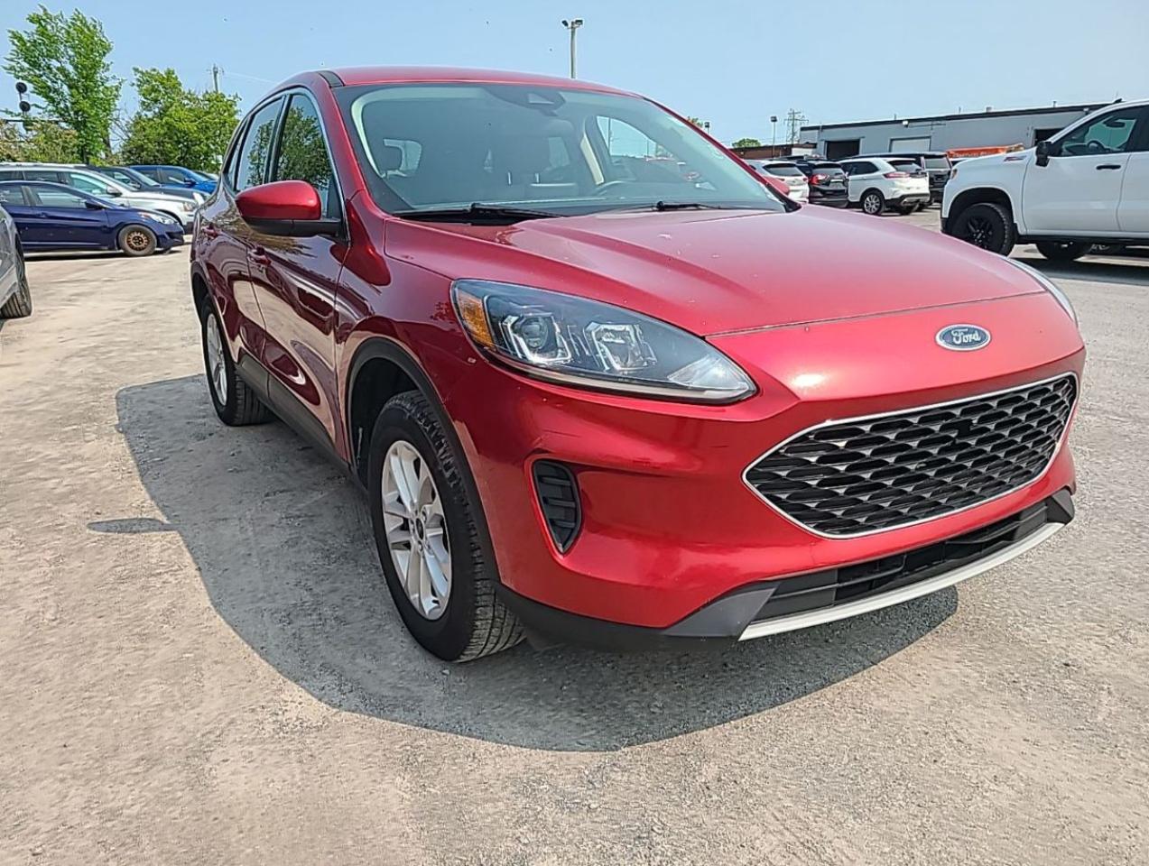 Used 2021 Ford Escape SE for sale in Kingston, ON