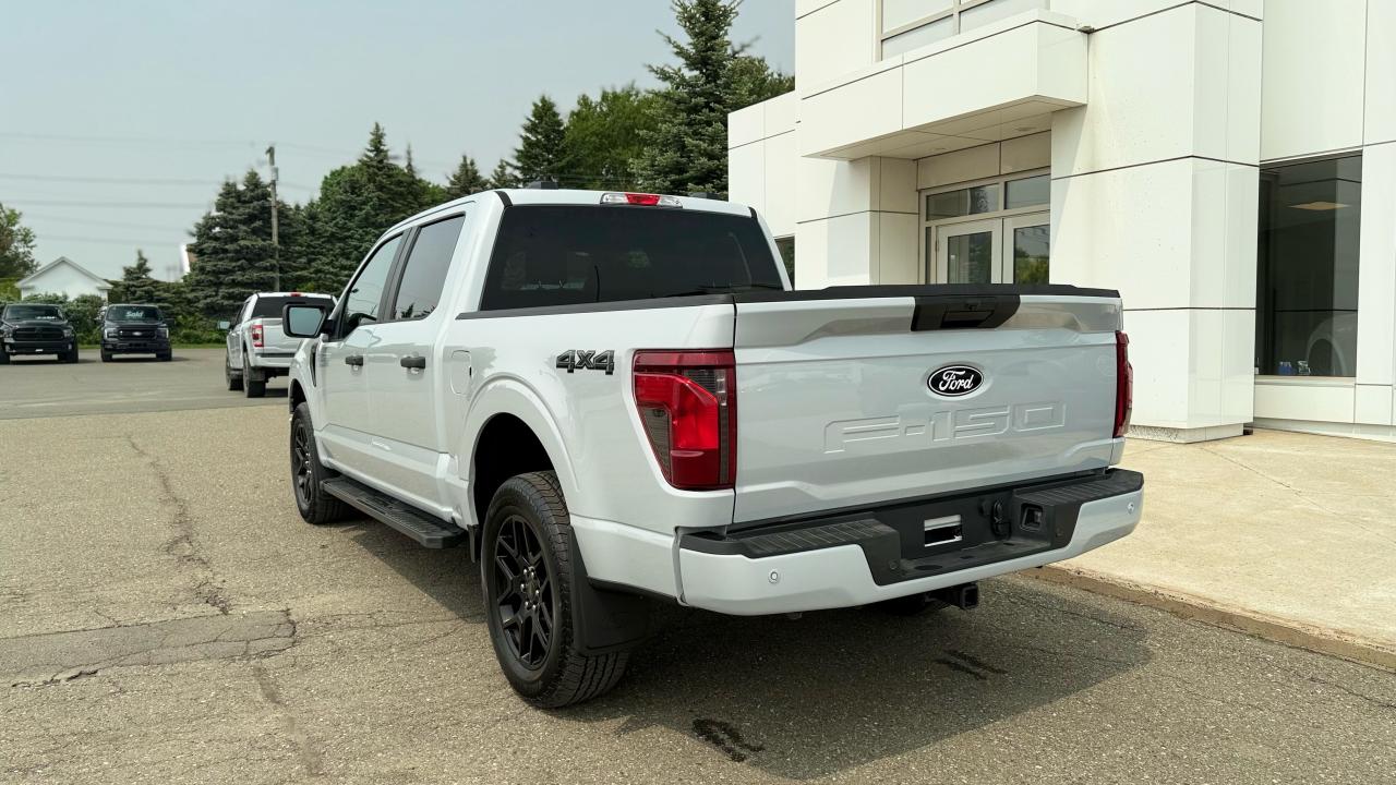 2025 Ford F-150 STX® Photo