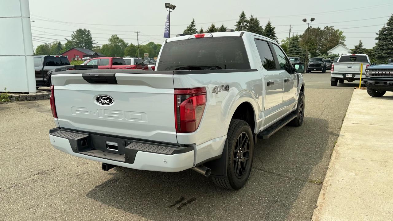 2025 Ford F-150 STX® Photo5