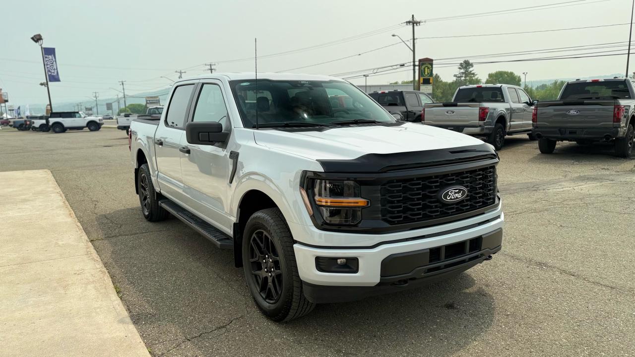 2025 Ford F-150 STX® Photo