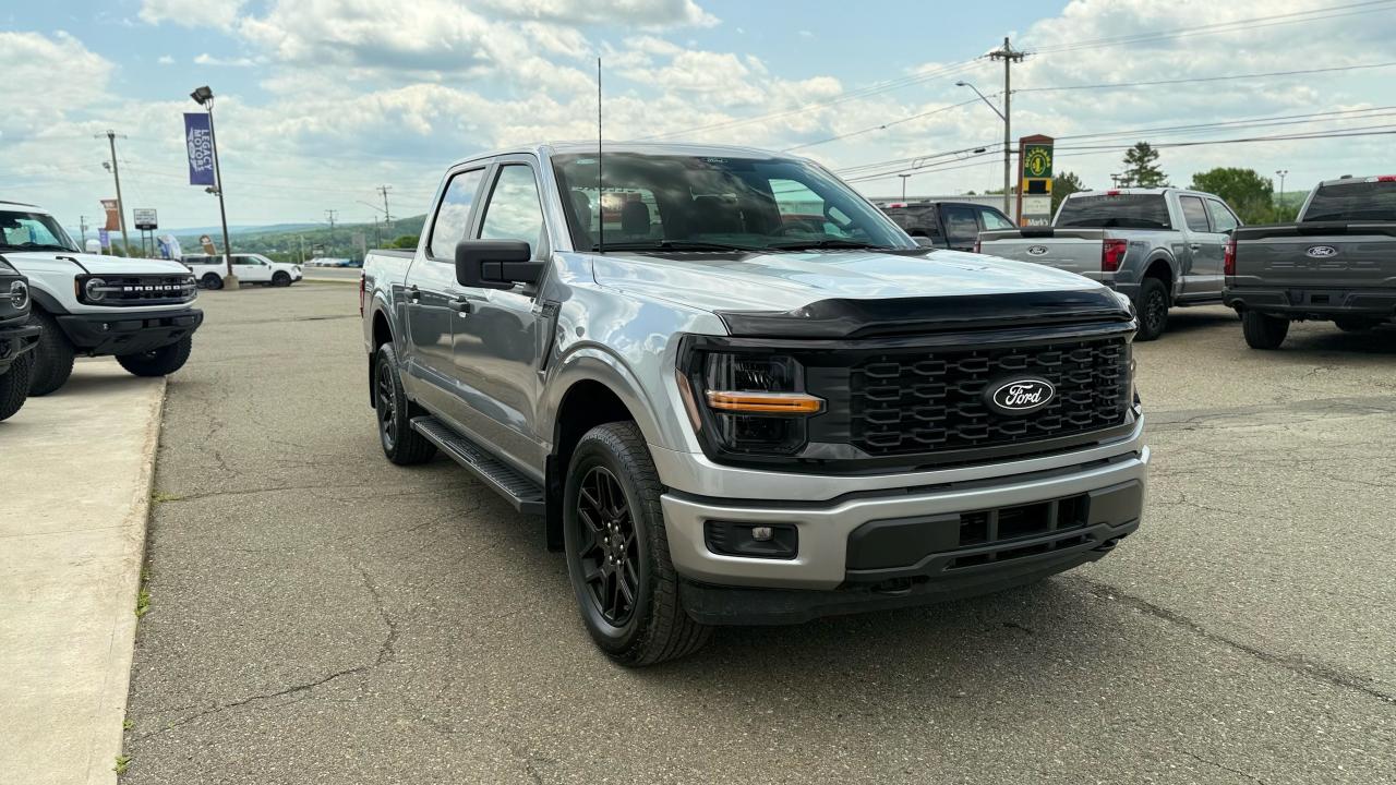 2025 Ford F-150 STX® Photo1