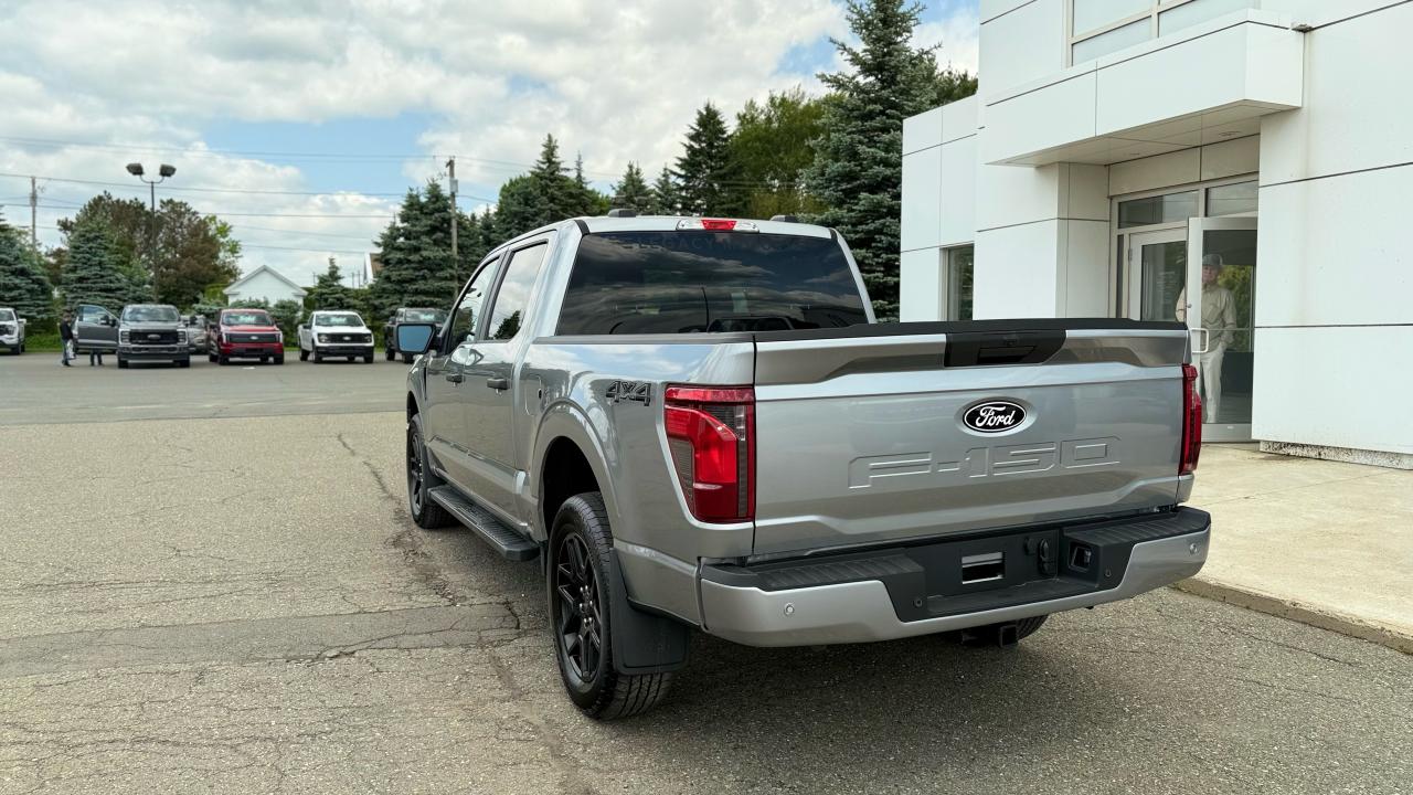 2025 Ford F-150 STX® Photo