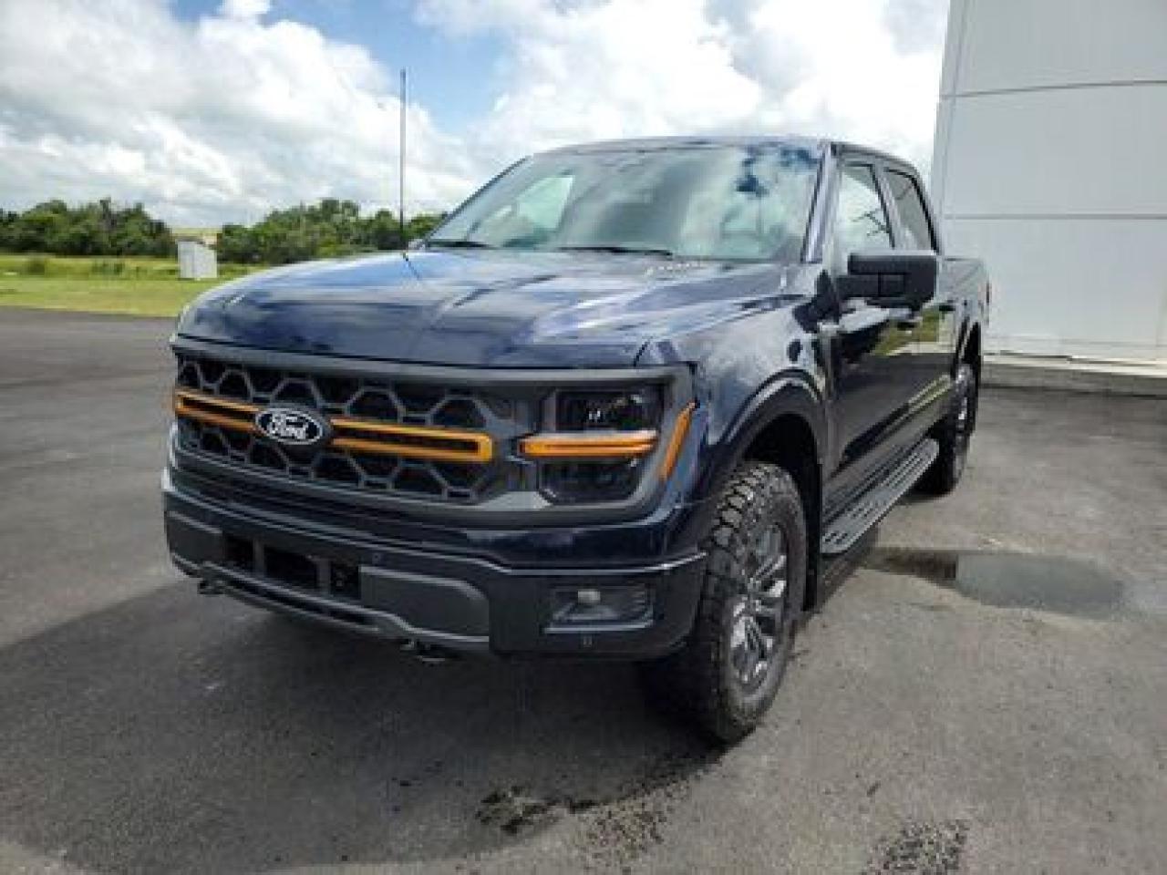 New 2025 Ford F-150 TREMOR W/ BED UTILITY PACKAGE for sale in Moose Jaw, SK