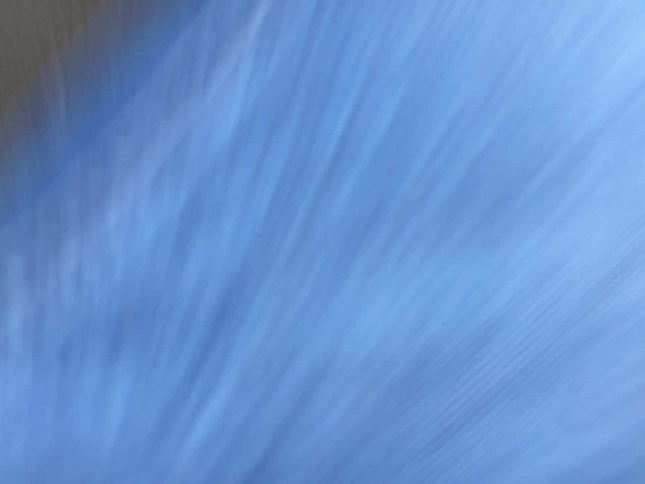 12603097