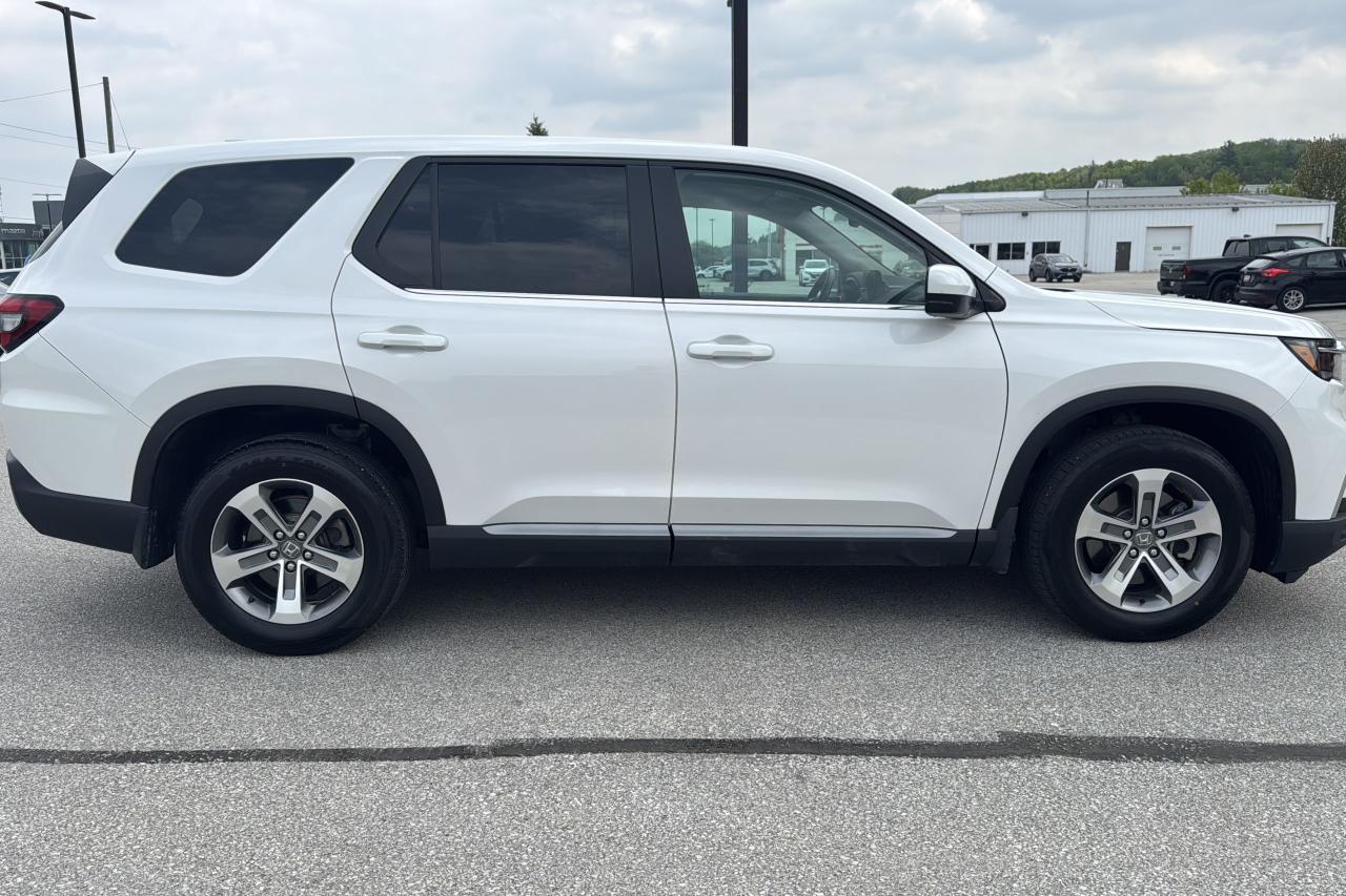 2023 Honda Pilot EX-L Photo