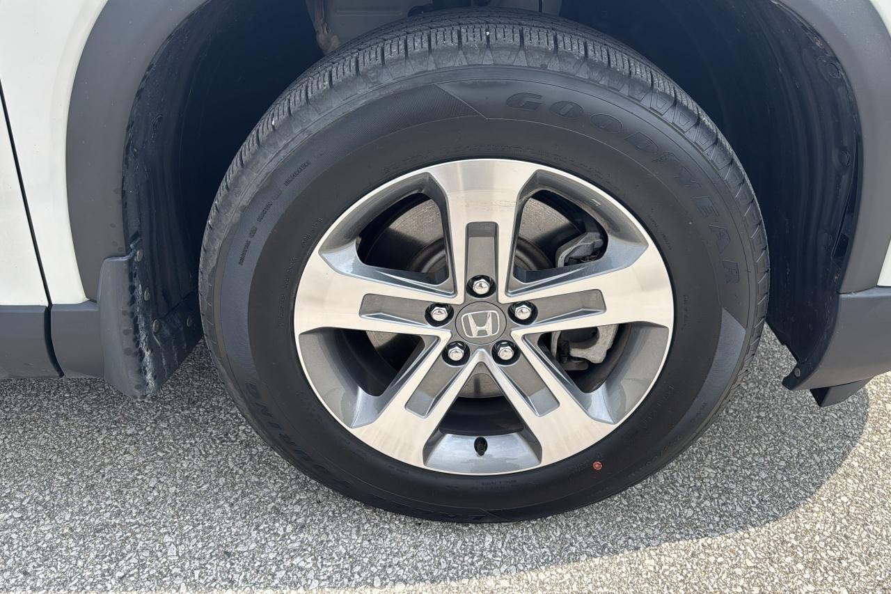 2023 Honda Pilot EX-L Photo
