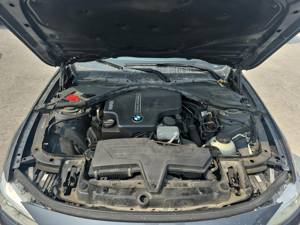 12603676