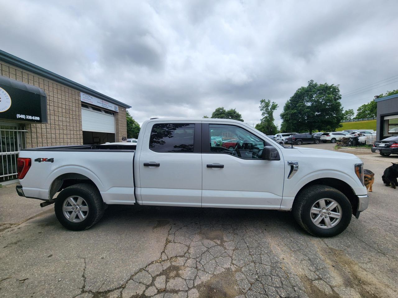 2023 Ford F-150 XLT l CrewCab l 3.5L l Mint Condition Photo3