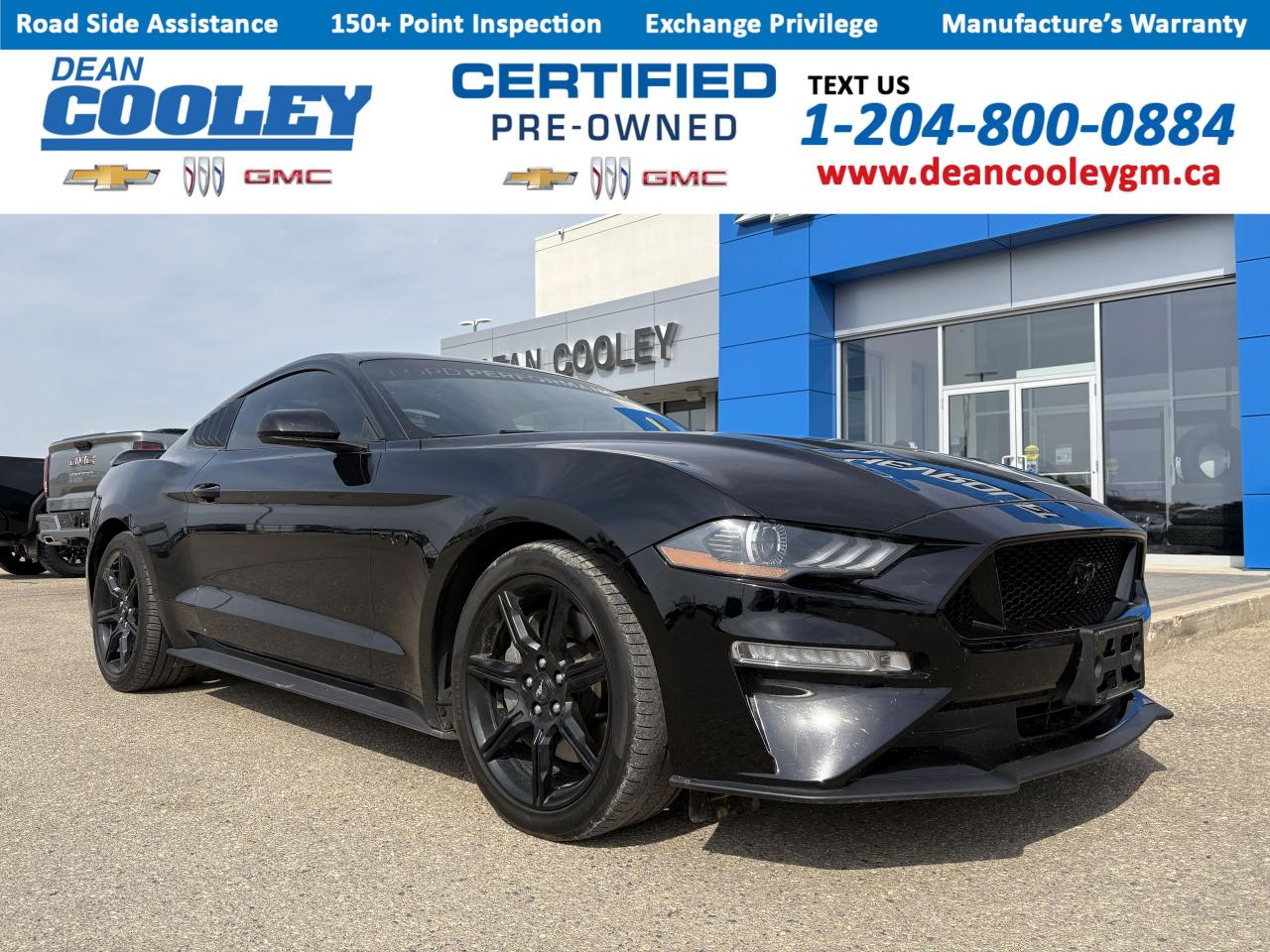 Used 2019 Ford Mustang GT for sale in Dauphin, MB