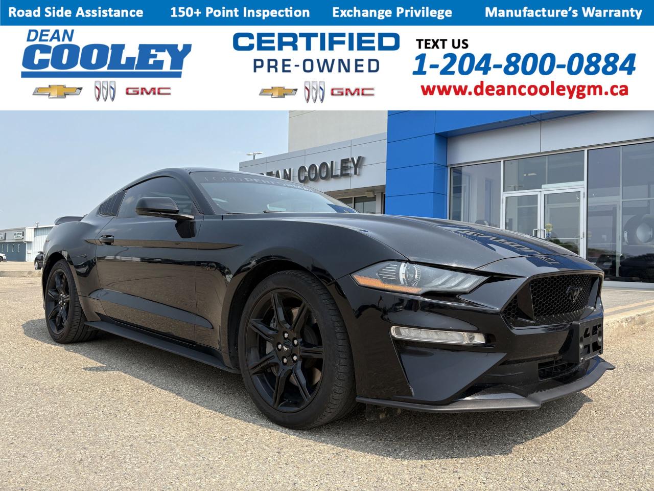 Used 2019 Ford Mustang GT for sale in Dauphin, MB