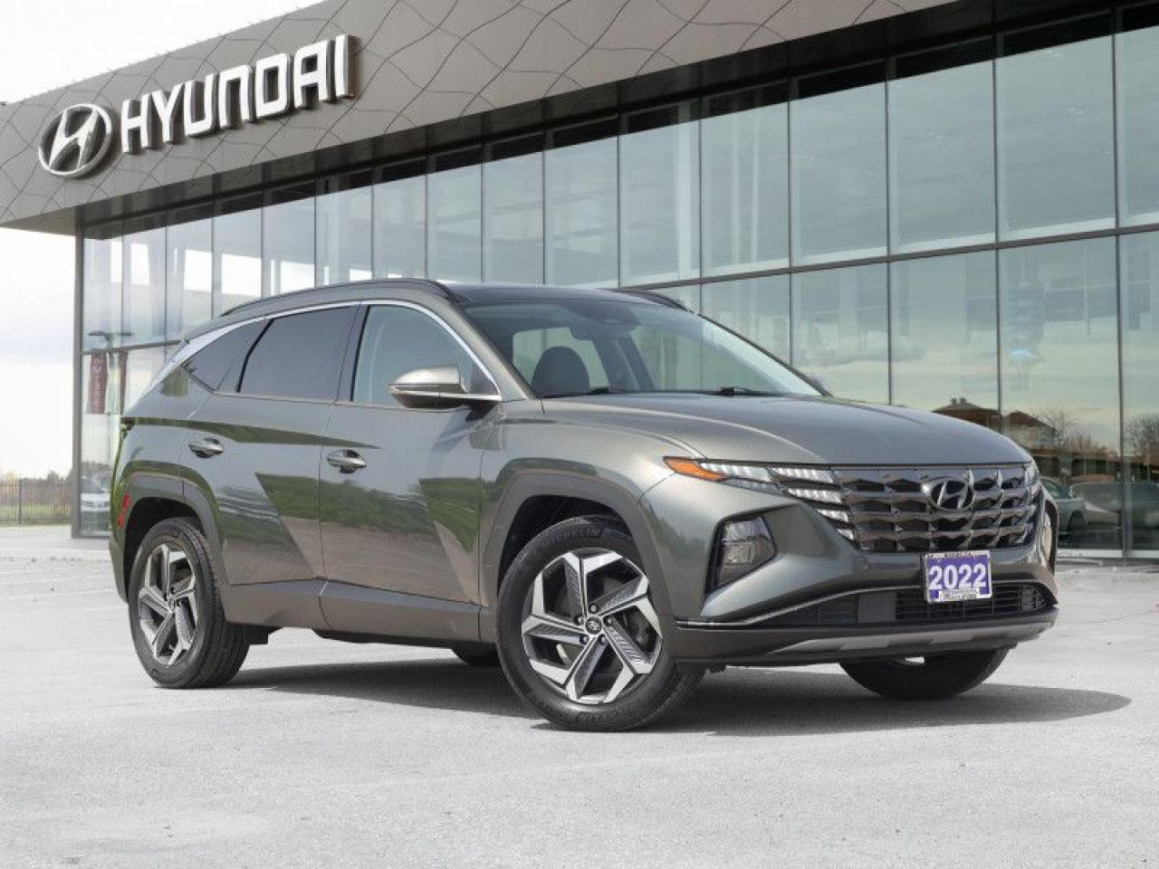 Used 2022 Hyundai Tucson Hybrid Luxury  - Cooled Seats for sale in Nepean, ON