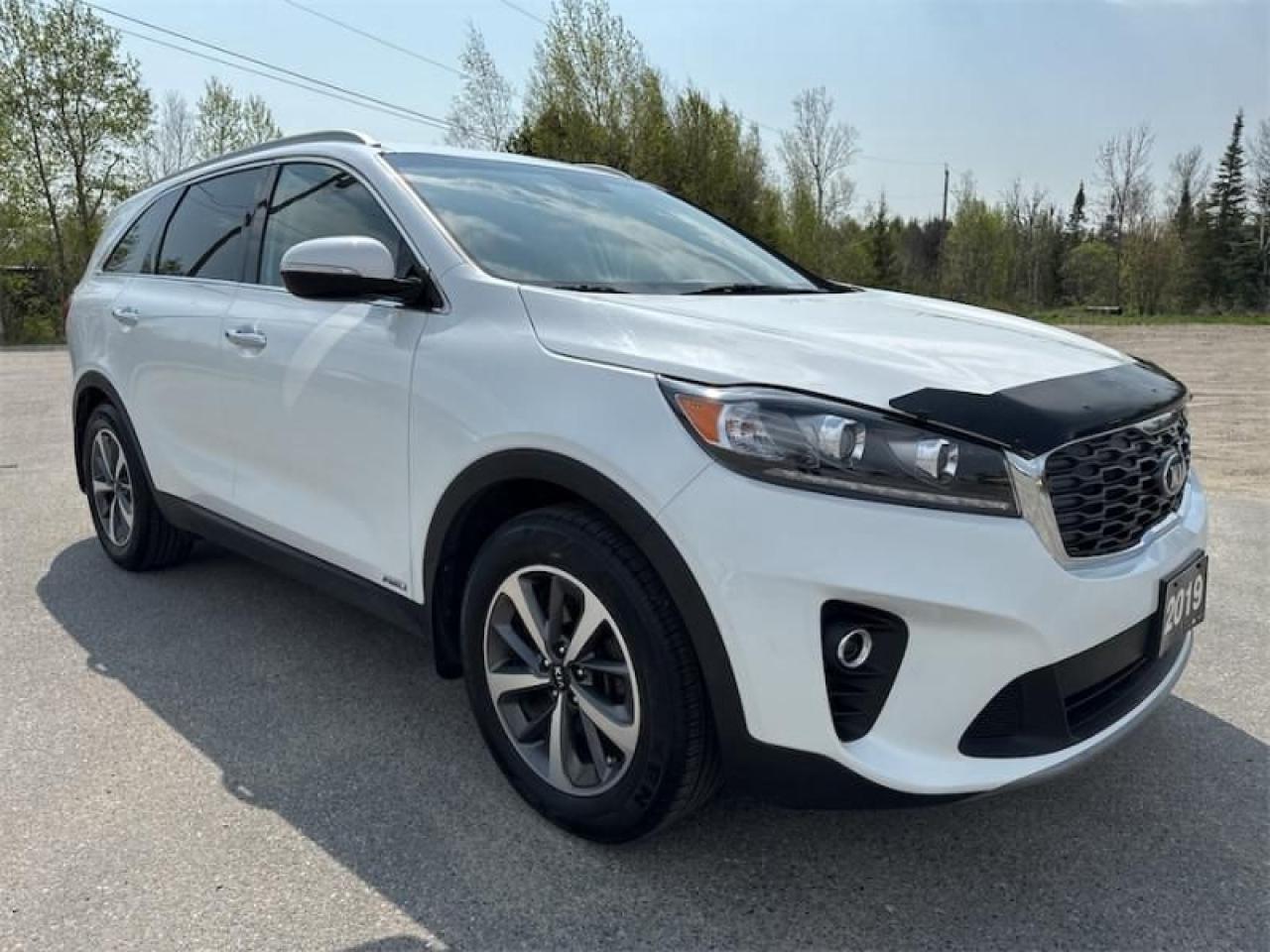 Used 2019 Kia Sorento EX  Leather Seats - Low Mileage for sale in Timmins, ON