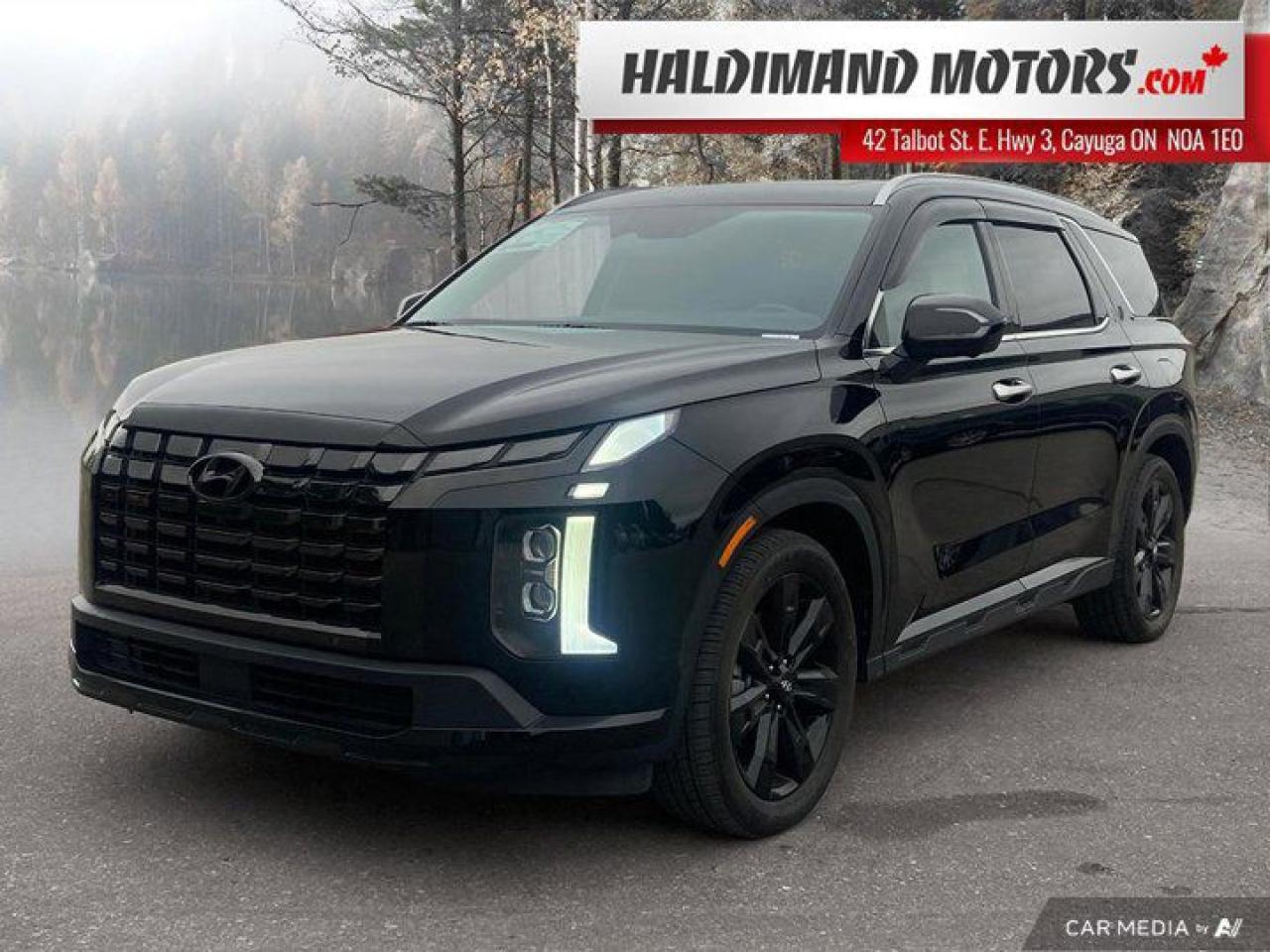 Used 2023 Hyundai PALISADE URBAN for sale in Cayuga, ON