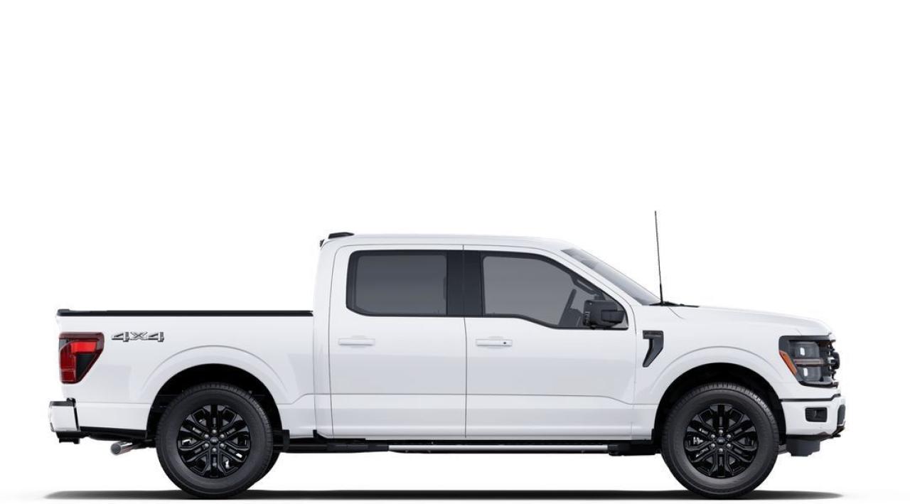 2025 Ford F-150 XLT Photo5