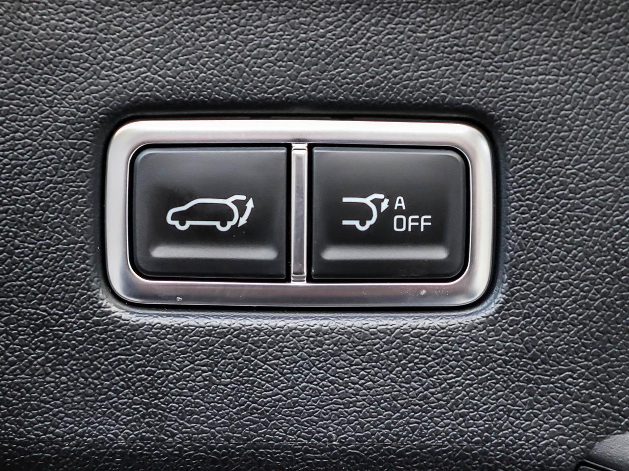 2025 Kia Sorento Hybrid EX Photo