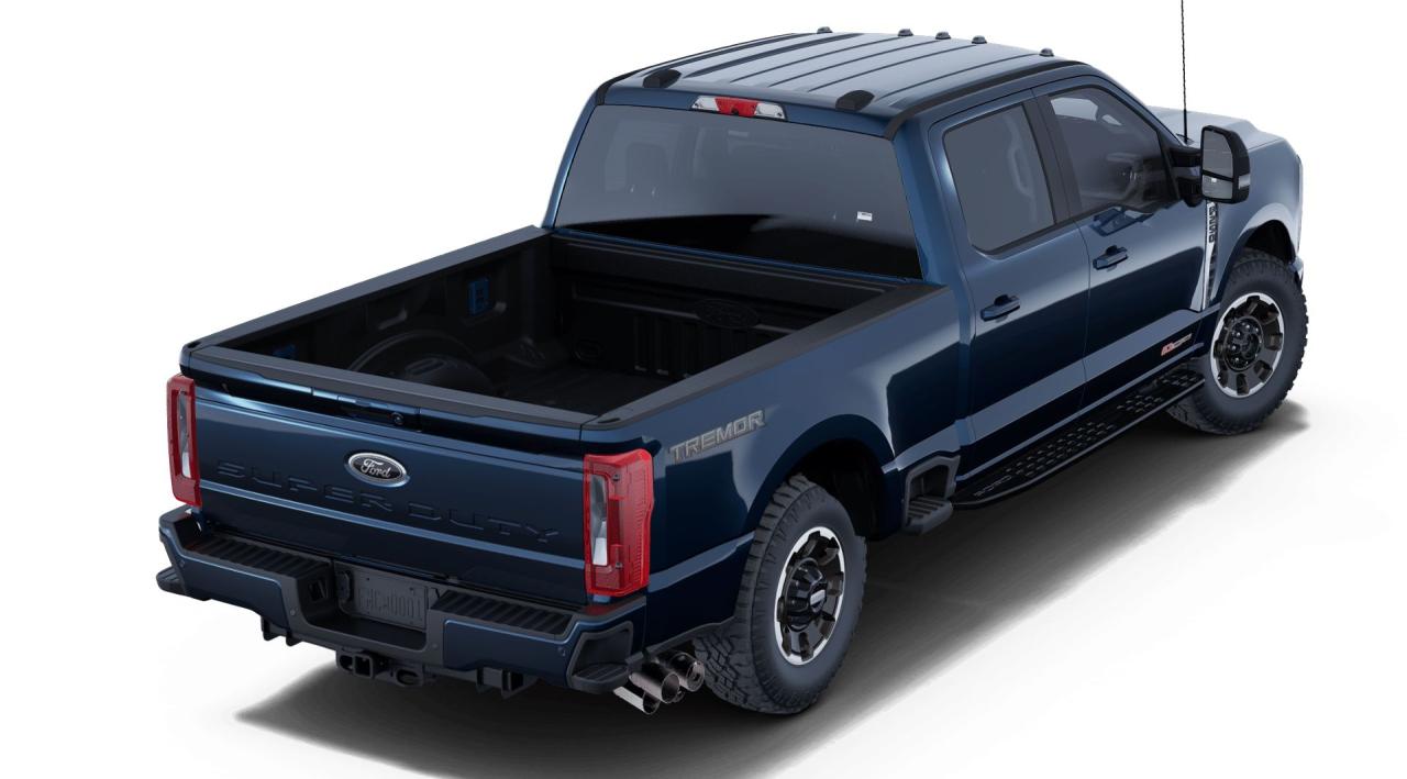 2025 Ford F-250  Photo