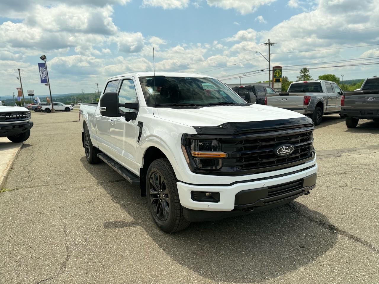 2025 Ford F-150  Photo1