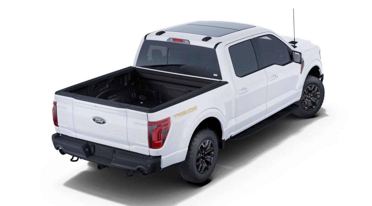 2025 Ford F-150  Photo2