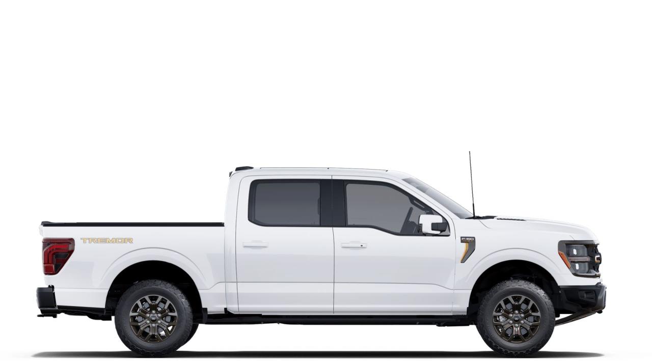 2025 Ford F-150  Photo4