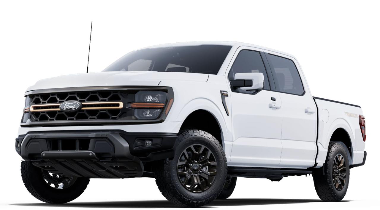 New 2025 Ford F-150  for sale in Woodstock, NB