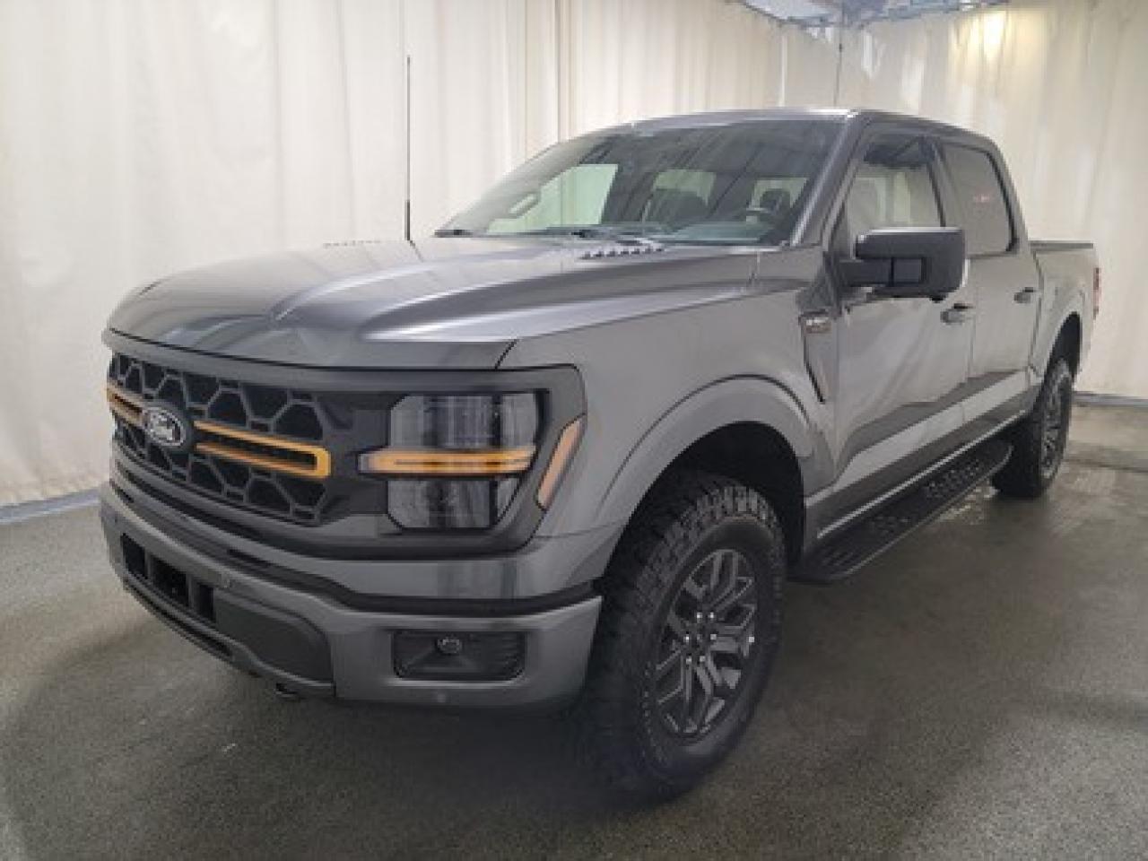 New 2025 Ford F-150 TREMOR W/ REAR VIEW CAMERA for sale in Regina, SK