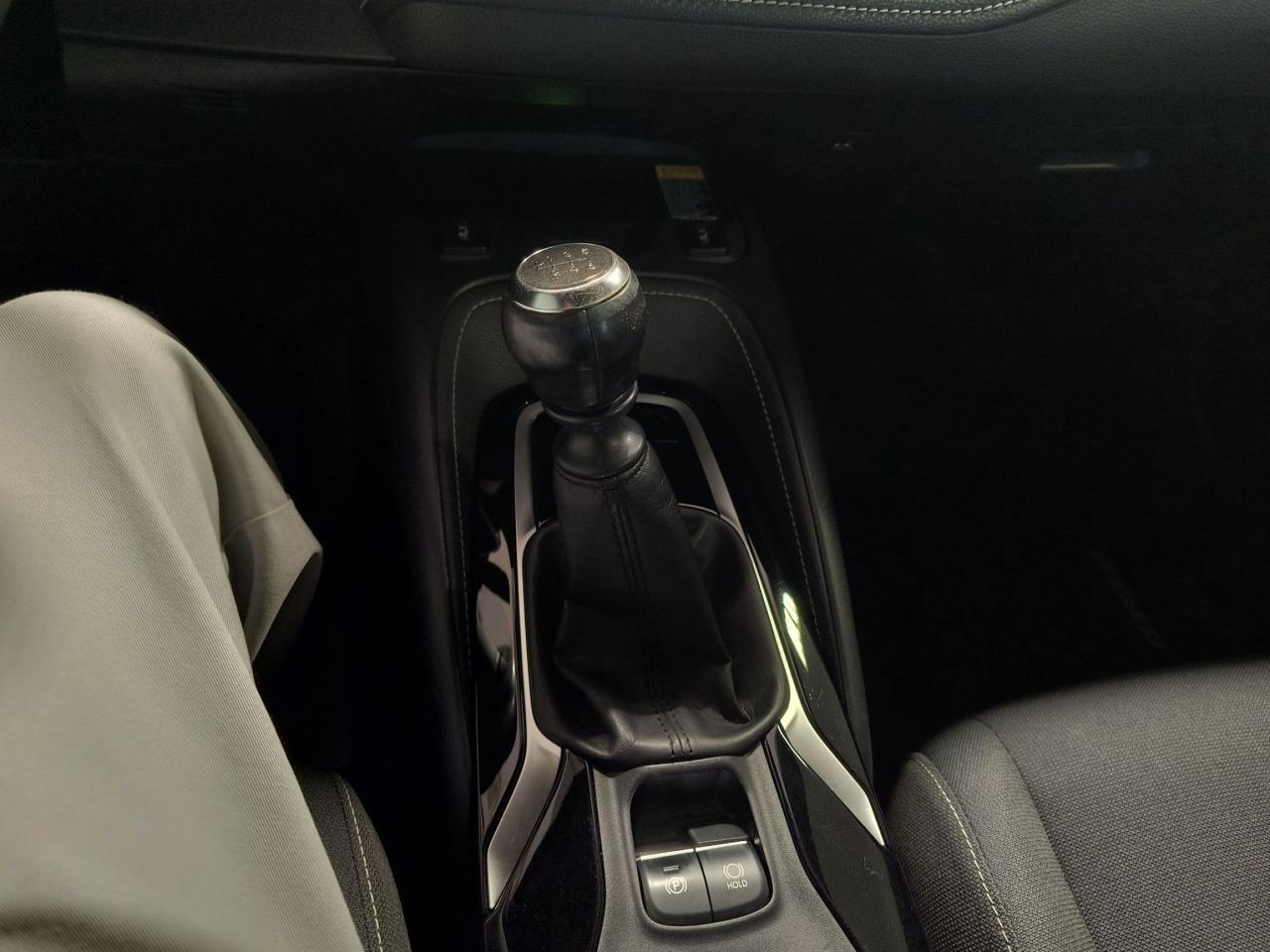 2019 Toyota Corolla SE Photo