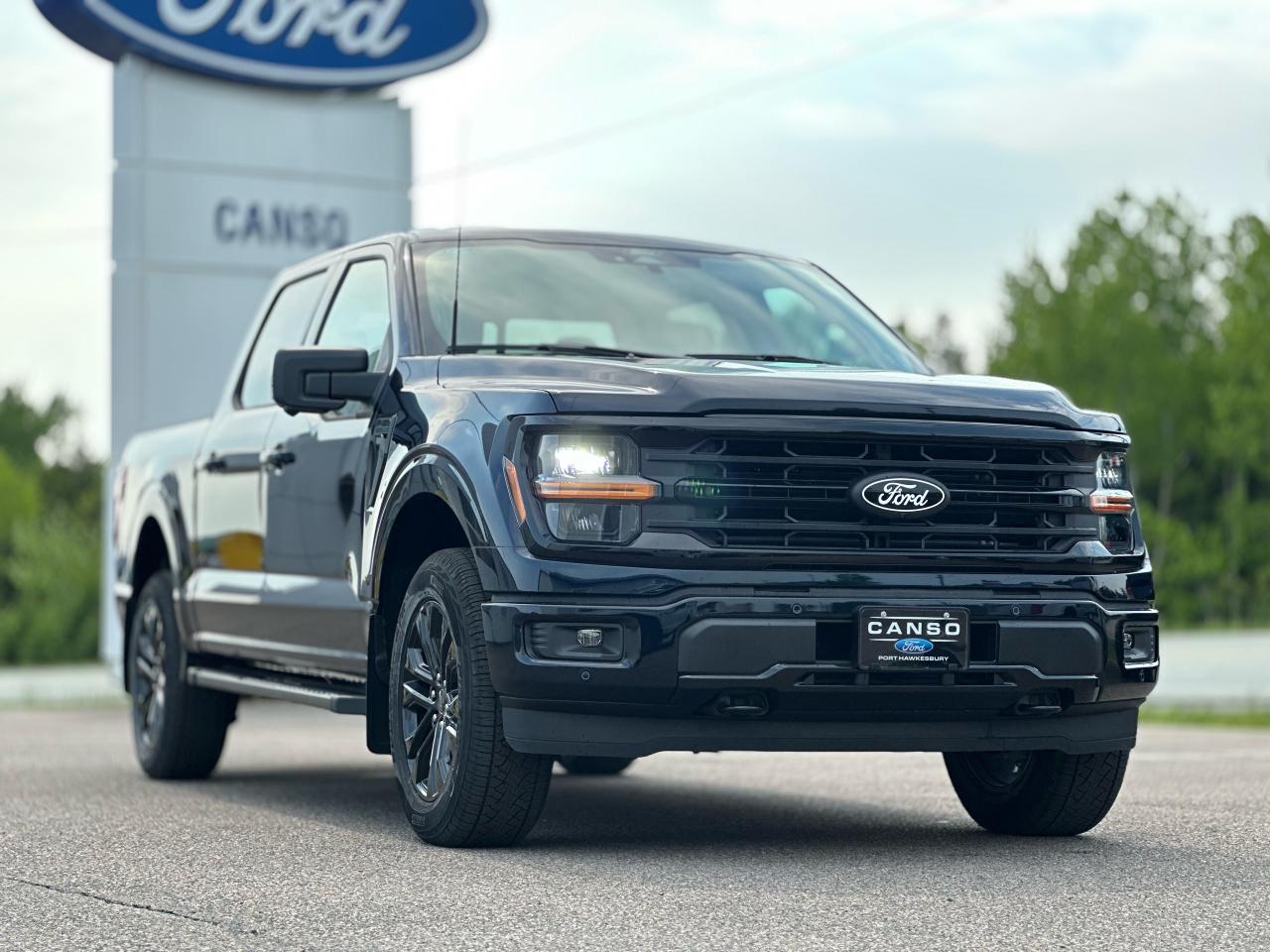 2025 Ford F-150 XLT 4WD SuperCrew 5.5' Box Photo5