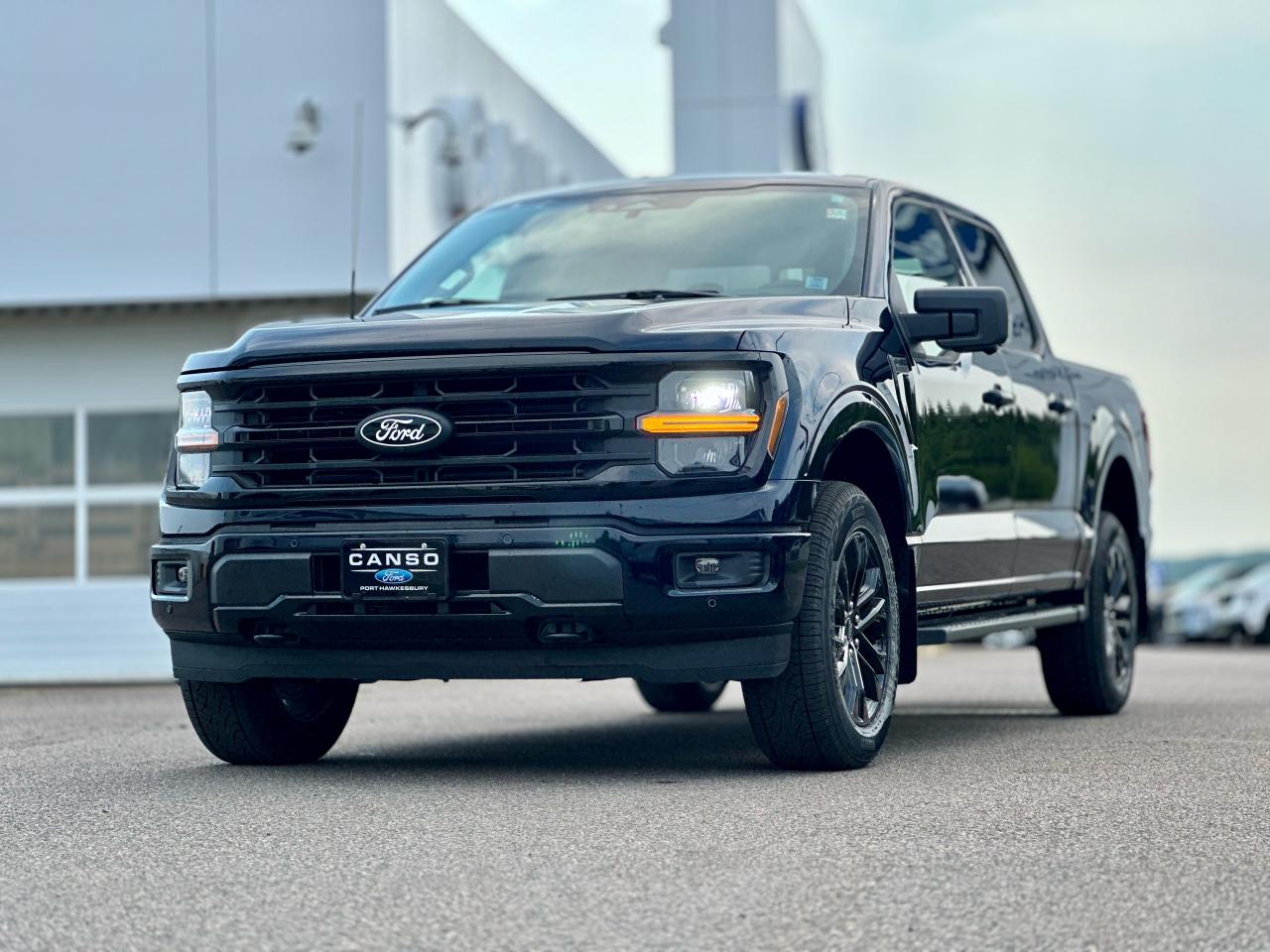 2025 Ford F-150 XLT 4WD SuperCrew 5.5' Box Photo5