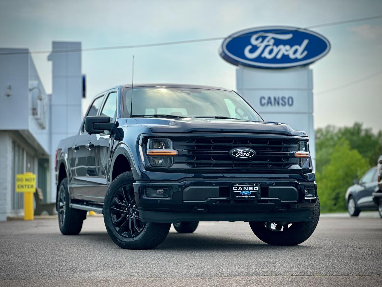 2025 Ford F-150 XLT 4WD SuperCrew 5.5' Box Photo0