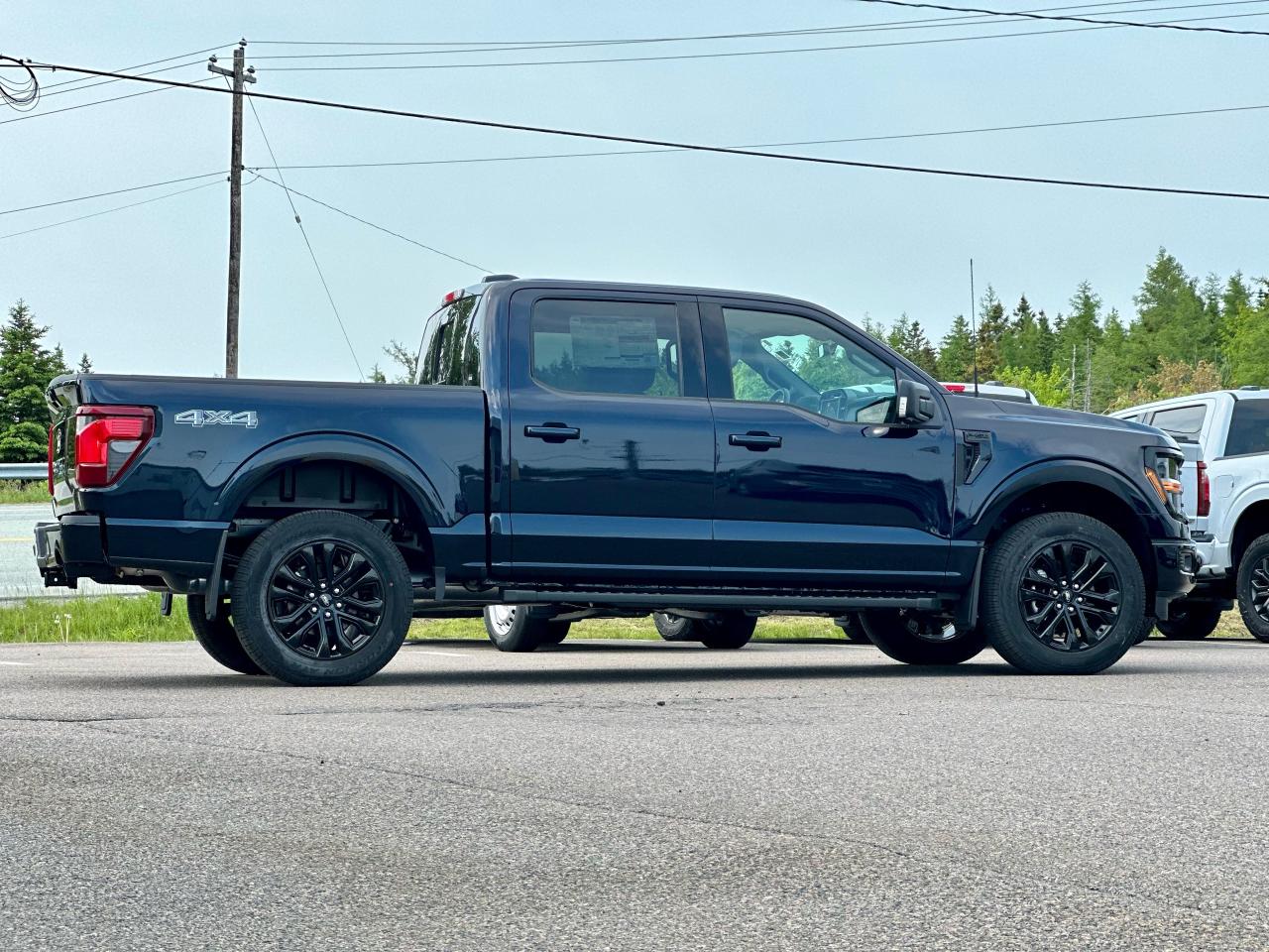 2025 Ford F-150 XLT 4WD SuperCrew 5.5' Box Photo5