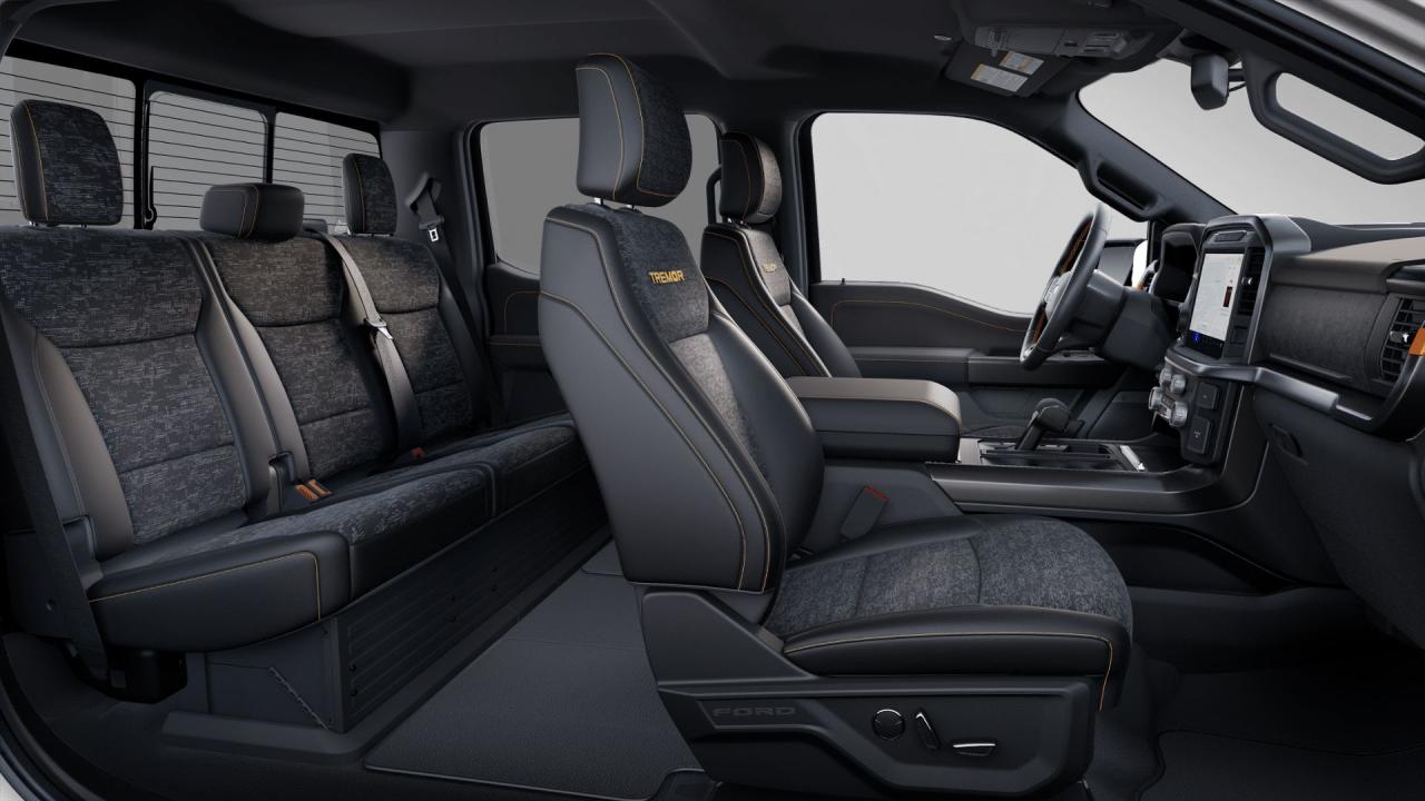 2025 Ford F-150 Tremor 4WD SuperCrew 5.5' Box Photo5