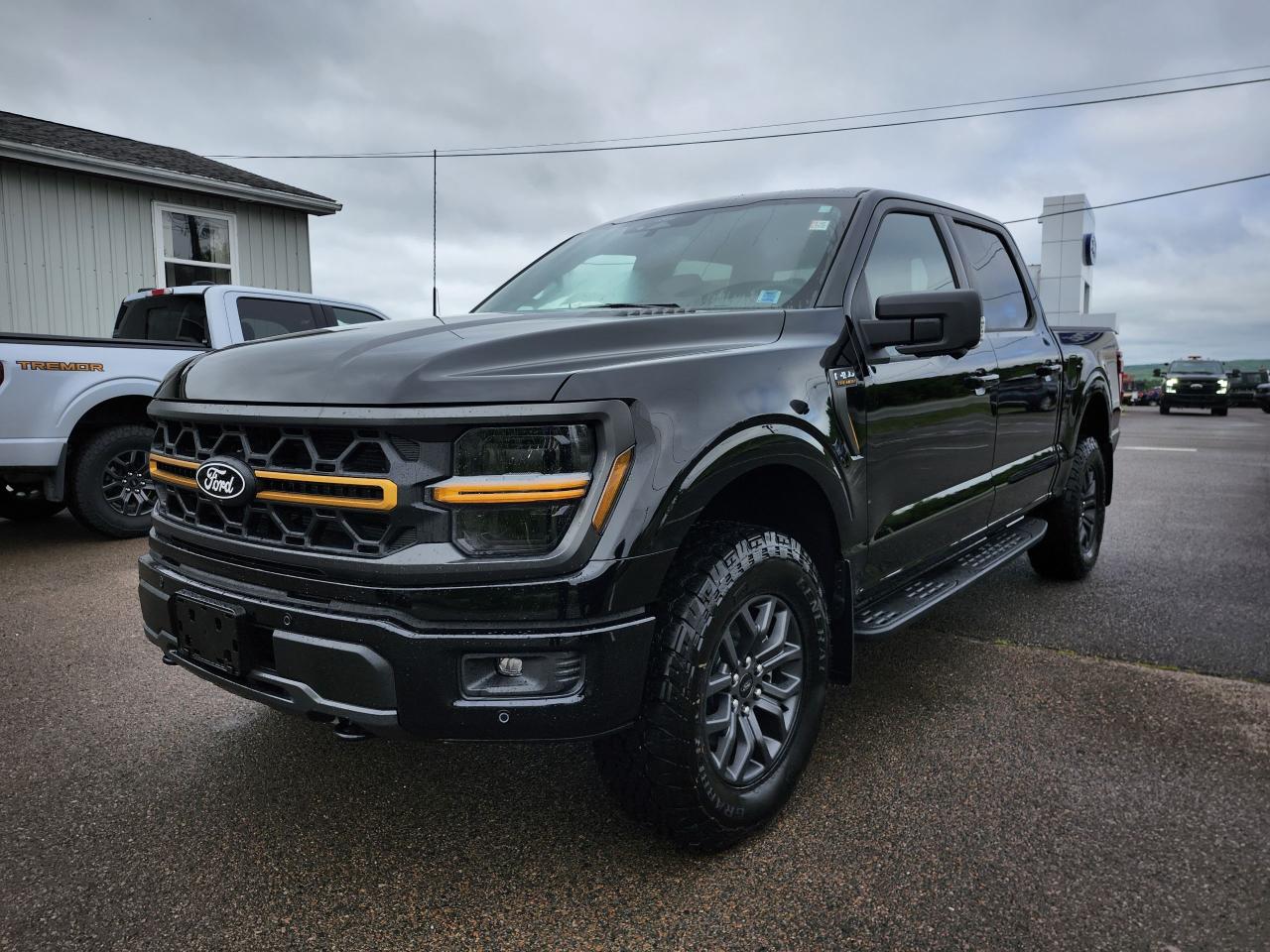 2025 Ford F-150 Tremor 4WD SuperCrew 5.5' Box Photo5